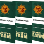 banana-punch_packet_1_seed